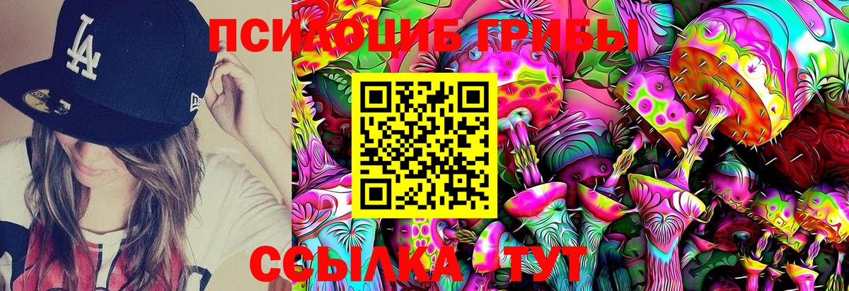 как найти наркотики  Вход с VPN  Губкинский  Псилоцибиновые грибы MAGIC MUSHROOMS 